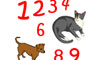 Cat Dog Counting - Activity